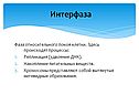 Интерфаза