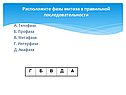 Расположите фазы митоза в правильной последовательности