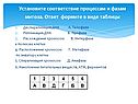 Установите соответствие процессам и фазам митоза