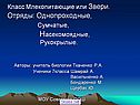 Класс Млекопитающие или Звери