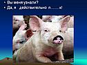 Млекопитающие 7 класс