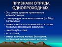 Признаки отряда однопроходных