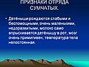 Признаки отряда сумчатых