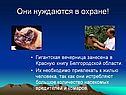 Они нуждаются в охране