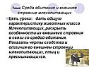 Тема: Среда обитания и внешнее строение млекопитающих