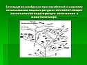 Благодаря разнообразию приспособлений и широкому использованию пищевых