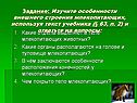 Задание: Изучите особенности внешнего строения млекопитающих,