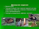 Домашнее задание: