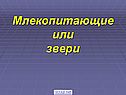 Млекопитающие