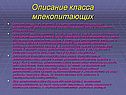 Описание класса млекопитающих