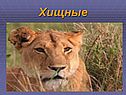 Хищные