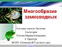 Многообразие земноводных
