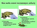 Бинокулярное зрение
