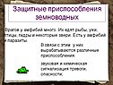 Защитные приспособления земноводных