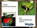 Предостерегающая окраска тела