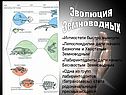 Эволюция земноводных