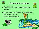 Домашнее задание