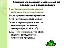 Влияние сезонных изменений