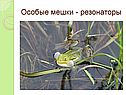 Мешки - резонаторы