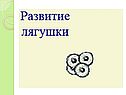 Многообразие и значение земноводных