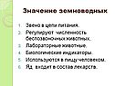 Значение земноводных