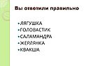 Головастик