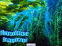 Картинка 3