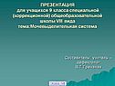 Мочевыделительная система человека