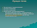 Функции почек