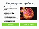 Задание