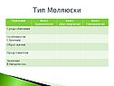 Моллюски биология