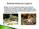 Биологические задачи