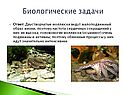 Биологические задачи