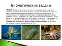 Биологические задачи