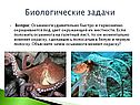Биологические задачи