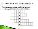 Пользуясь рисунками учебника заполни кроссворд, вписав название