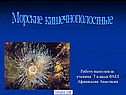 Морские кишечнополостные