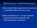 Происхождение Кишечнополостных