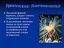 Происхождение Кишечнополостных
