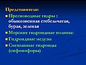 Представители: Пресноводные гидры : обыкновенная стебельчатая, бурая,