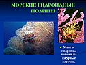 Морские гидроидные полипы