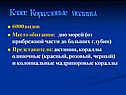 Класс Коралловые полипы