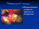 "Морские цветы" - актинии