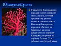 Ювелирные кораллы