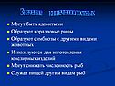 Значение кишечнополостных