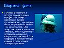 Интересные факты