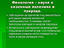 Фенология