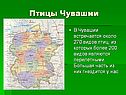 Птицы Чувашии