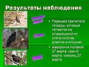 Результаты наблюдения