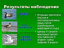 Водные и околоводные виды